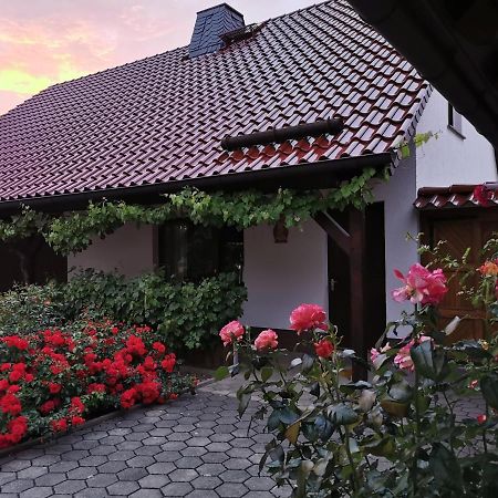 Ferienhaus Rosenhof Glaubitz Dış mekan fotoğraf