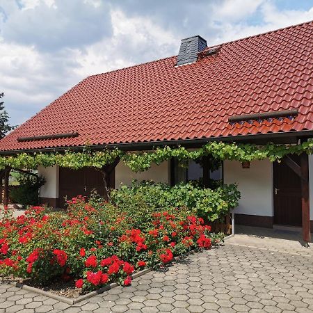 Ferienhaus Rosenhof Glaubitz Dış mekan fotoğraf