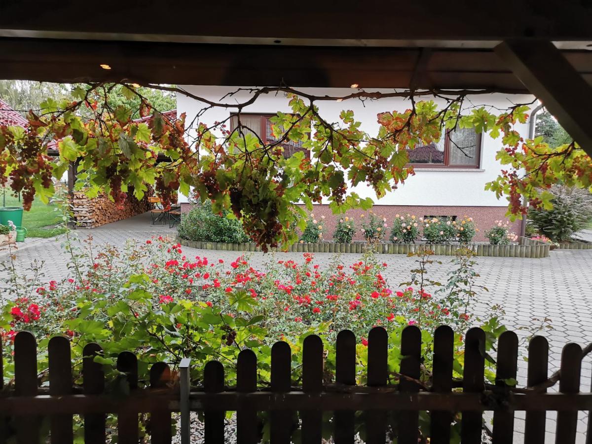 Ferienhaus Rosenhof Glaubitz Dış mekan fotoğraf