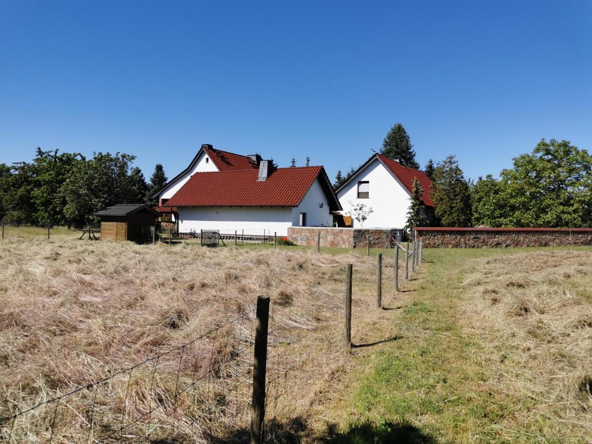 Ferienhaus Rosenhof Glaubitz Dış mekan fotoğraf