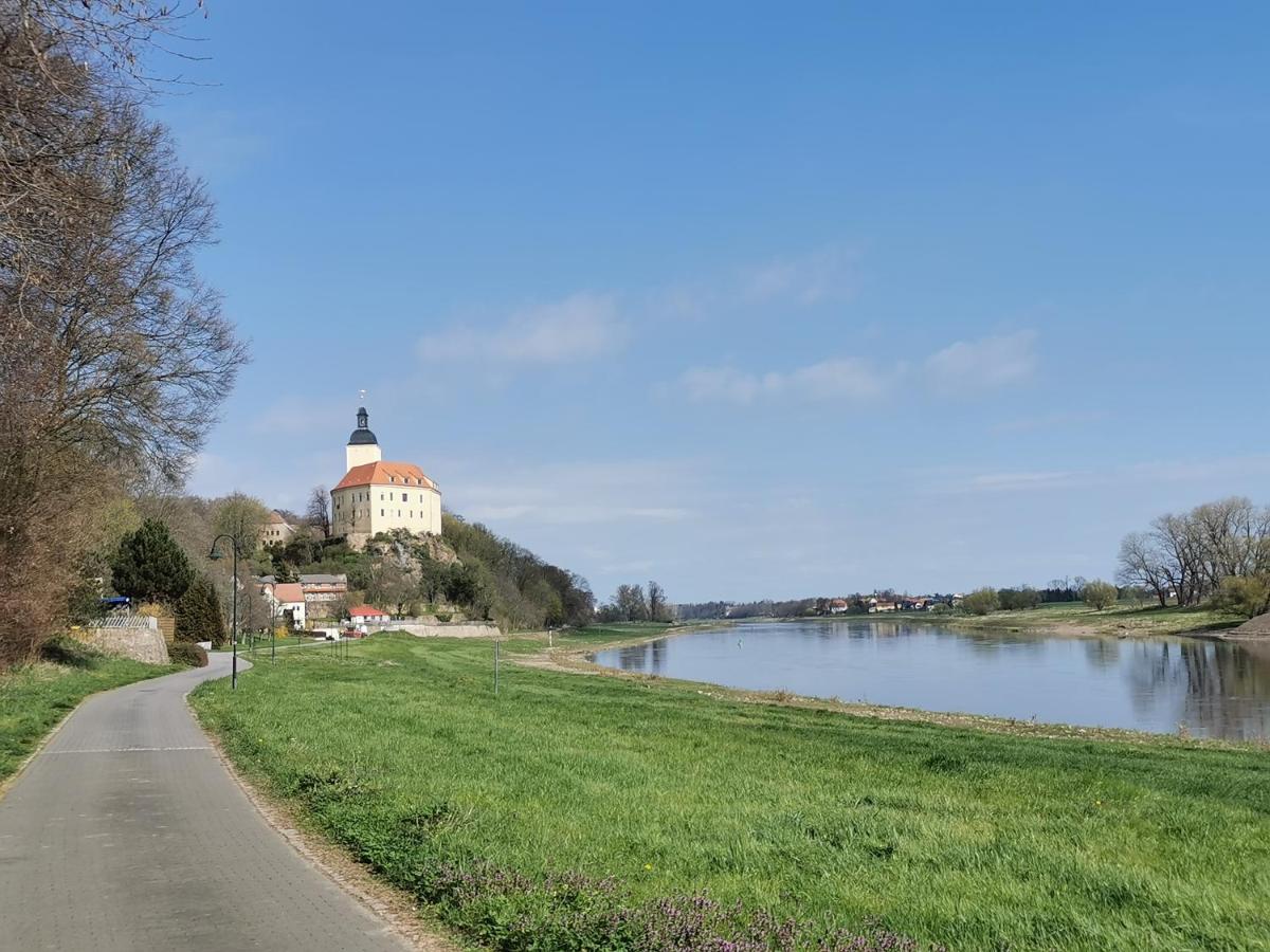 Ferienhaus Rosenhof Glaubitz Dış mekan fotoğraf